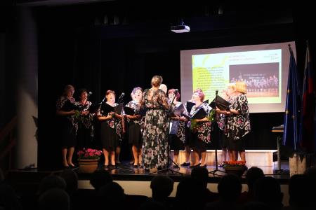 25 let MePZ DU Mirna, foto Pep (14)